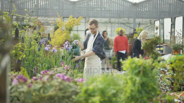 Friendly Worker Tuincentrum Drenken Van Planten Praten Met Klant — Stockvideo