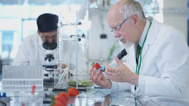 Investigadores Ciencia Alimentaria Trabajando Laboratorio Hombre Inyectando Químicos Frutas — Vídeo de stock