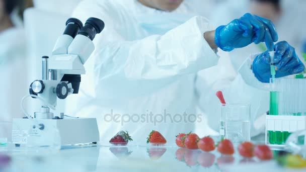 Food Science Researchers Working Lab Man Injecting Chemicals Fruit — Stock Video