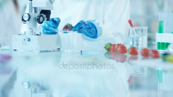 Food Science Researchers Working Lab Man Injecting Chemicals Fruit — Stock Video