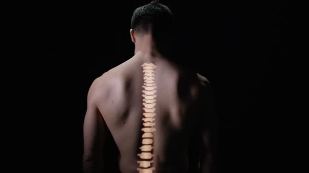 Verlichte Spinale Kolom Geprojecteerd Achterkant Van Naakte Mannelijke Model — Stockvideo