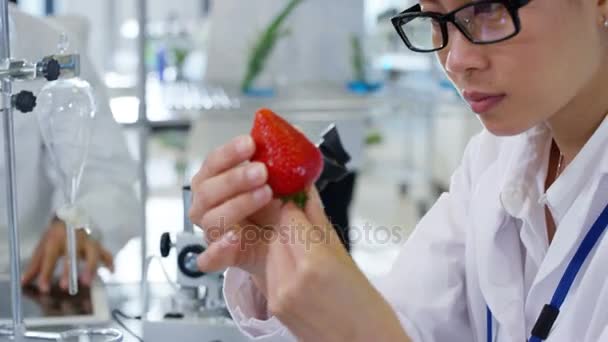 Mat Vetenskap Forskare Arbetar Lab Kvinna Injicera Kemikalier Frukt — Stockvideo