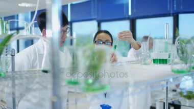 4 k araştırma bilim adamları bitki tarım veya ilaç endüstrisi içinde eğitim