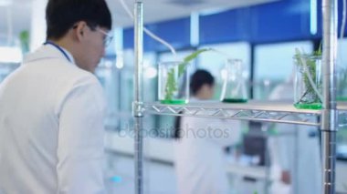 Laboratuvarda muayene bitki özleri kimyagerler, 4k Grup