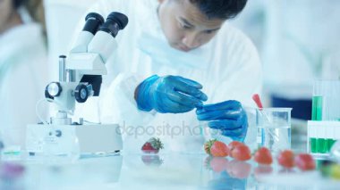 4 k gıda bilim araştırmacılar kimyasallar meyve enjekte adam laboratuarda, çalışan