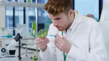 4 k gıda bilim araştırmacıları laboratuvar, bir adam kimyasallar broccolli enjekte