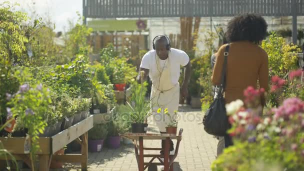 Trabalhador Viveiro Plantas Ouvindo Música Dançando Enquanto Clientes Fazem Compras — Vídeo de Stock