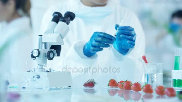 Food Science Researchers Working Lab Man Injecting Chemicals Fruit — Stock Video