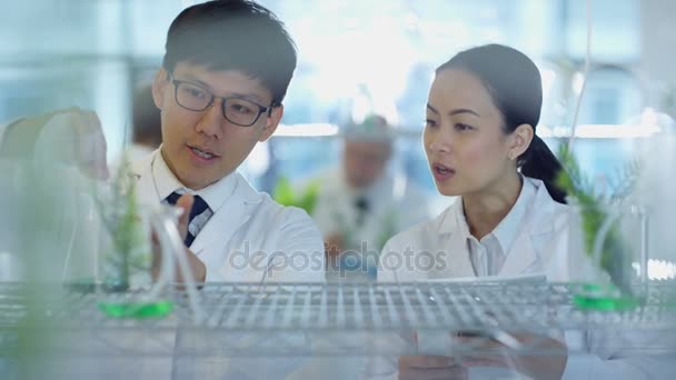 Retrato Científicos Sonrientes Que Estudian Muestras Plantas Laboratorio — Vídeos de Stock