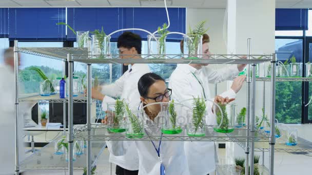 Laps Temps Des Chercheurs Biologie Travaillant Laboratoire Analysant Les Plantes — Video