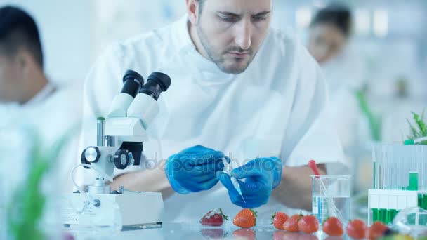 Food Science Naukowców Pracuje Laboratorium Człowiek Wstrzykiwanie Substancji Chemicznych Owoców — Wideo stockowe