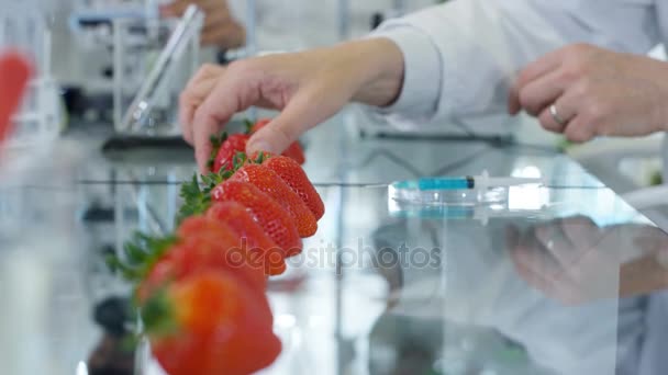 食品科学研究人员在实验室工作 一名男子向水果中注入化学物质 — 图库视频影像