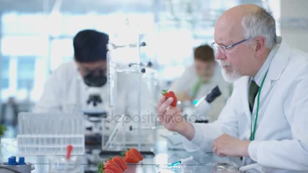 Investigadores Ciencia Alimentaria Trabajando Laboratorio Hombre Inyectando Químicos Frutas — Vídeos de Stock