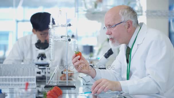 Food Science Researchers Working Lab One Man Injecting Chemicals Fruit — Stock Video