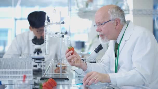 Ricercatori Scienze Alimentari Che Lavorano Laboratorio Uomo Che Inietta Sostanze — Video Stock