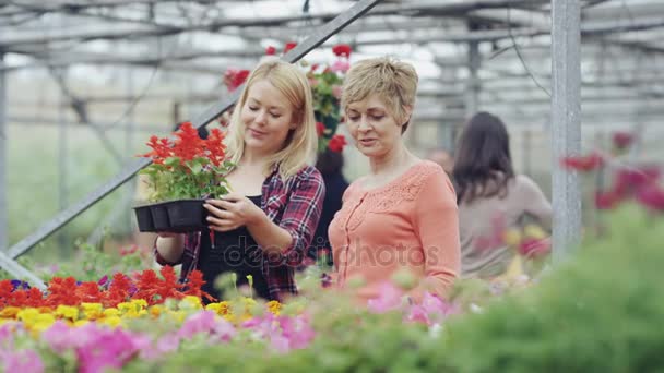 Joyeux Shopping Mère Fille Dans Centre Jardin — Video