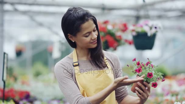 Arbetare Trädgårds Centrum Tenderar Att Blommande Växter Medan Kunderna Surfar — Stockvideo