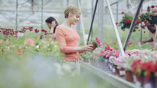 Compras Clientes Centro Jardinería Trabajadores Que Cuidan Plantas Segundo Plano — Vídeo de stock