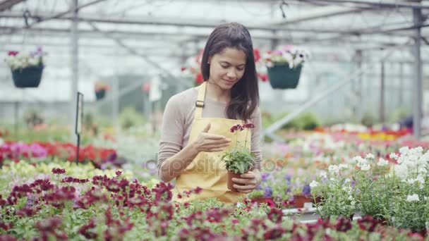 Trabalhadores Centro Jardim Tendendo Plantas Com Flores Enquanto Clientes Navegam — Vídeo de Stock