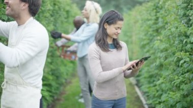 4k gülümseyen portresi çiftlik işçisi kontrol meyve bitkileri meyve bahçesi içinde arkadaşlarıyla