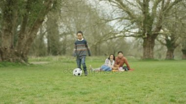 4k portre kırsal kesimde piknik futbol topu ile mutlu küçük çocuk