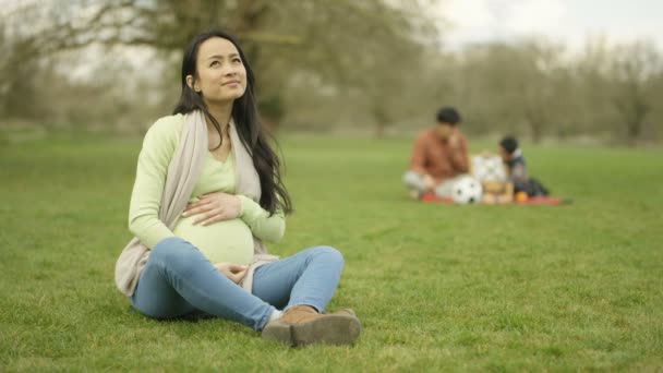 の肖像画妊娠した女性リラックスした背景で父と子と公園で — ストック動画