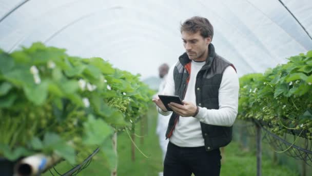 Retrato Trabalhador Agrícola Sorridente Com Tablet Computador Pomar Frutas — Vídeo de Stock
