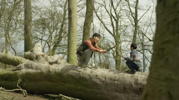 Glada Unga Asiatiska Far Och Son Spelar Skogen Solig Dag — Stockvideo