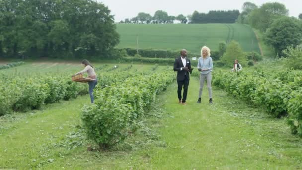 Zakenman Boer Veld Onderhandelen Schudden Handen Een Deal — Stockvideo