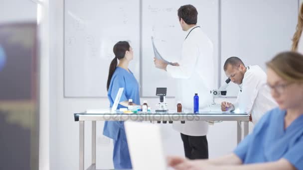 Medical Team Working Together Using Technology Looking Rays — Stock Video