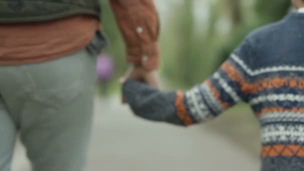 Happy Father Son Outdoors Holding Hands Walking Countryside — Stock Video