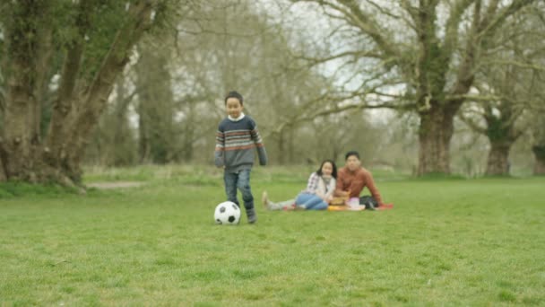 Retrato Niño Feliz Con Pelota Fútbol Teniendo Picnic Campo — Vídeos de Stock