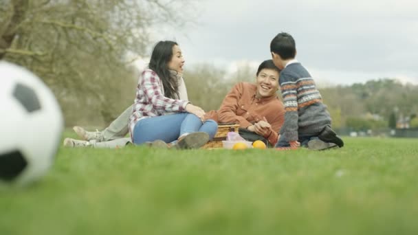 Jovem Família Asiática Feliz Fazendo Piquenique Livre Campo — Vídeo de Stock