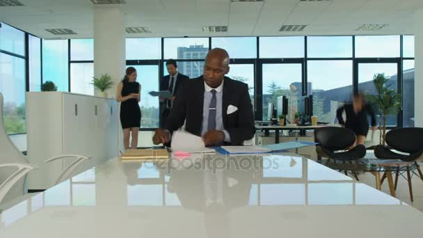Time Lapse Corporate Business Team Working Modern Office — Stock Video