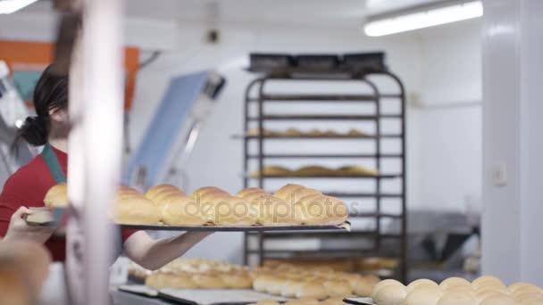 Stående Leende Ung Arbetstagare Bageri Kök — Stockvideo