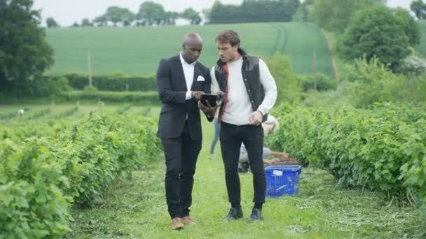 Zakenman Boer Veld Onderhandelen Schudden Handen Een Deal — Stockvideo