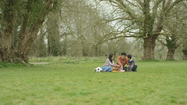 Lycklig Ung Asiatisk Familj Har Picknick Utomhus Landsbygden — Stockvideo