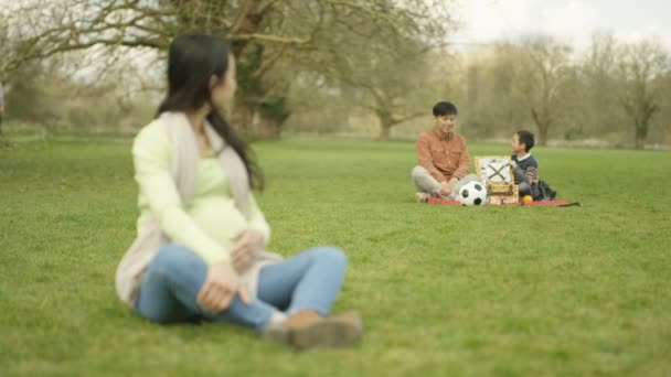 Portrait Dame Enceinte Relaxant Dans Parc Avec Père Fils Arrière — Video