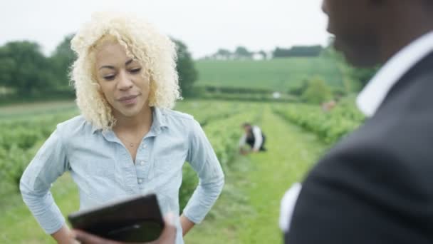 Homme Affaires Extérieur Avec Agriculteur Négocier Serrer Main Sur Accord — Video