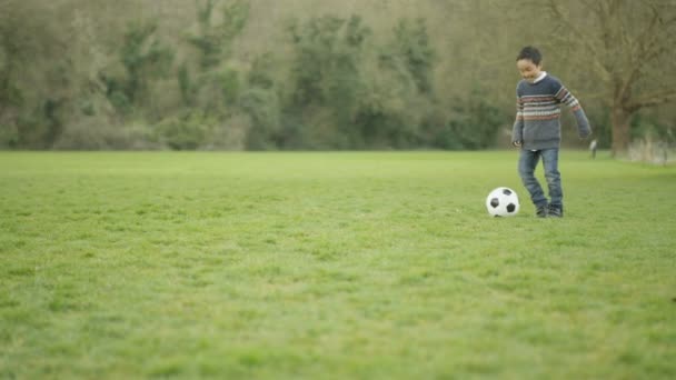 Feliz Joven Asiático Padre Hijo Jugando Fútbol Aire Libre Divertirse — Vídeos de Stock