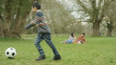 kırsal kesimde piknik açık havada 4 k mutlu genç Asya ailesi