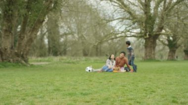 4k portre kırsal kesimde piknik futbol topu ile mutlu küçük çocuk