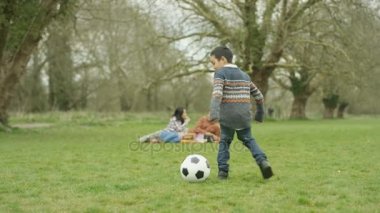 kırsal kesimde piknik açık havada 4 k mutlu genç Asya ailesi