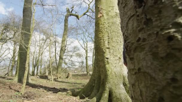 Happy Jeune Famille Asiatique Jouer Amuser Plein Air Campagne — Video