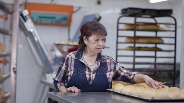 Портрет Улыбающихся Рабочих Пекарне Кухня — стоковое видео