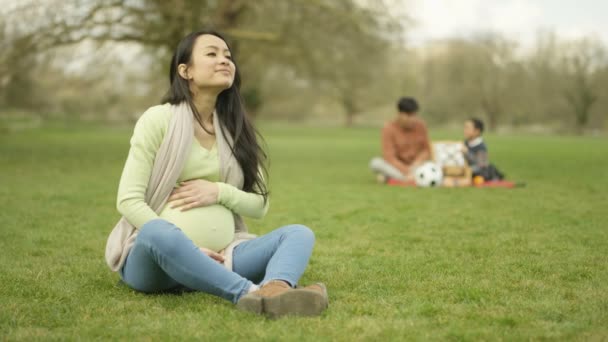 の肖像画妊娠した女性リラックスした背景で父と子と公園で — ストック動画