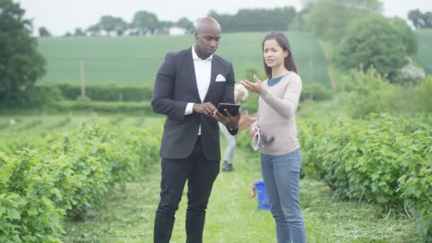 Geschäftsmann Und Landwirt Auf Dem Feld Verhandlungen Und Händeschütteln Bei — Stockvideo