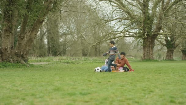 Retrato Menino Feliz Com Bola Futebol Fazendo Piquenique Campo — Vídeo de Stock