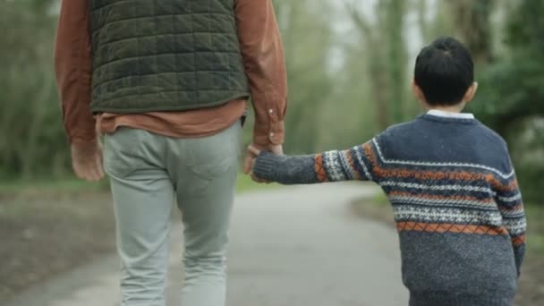 Buon Padre Figlio All Aperto Tenendosi Mano Passeggiando Campagna — Video Stock