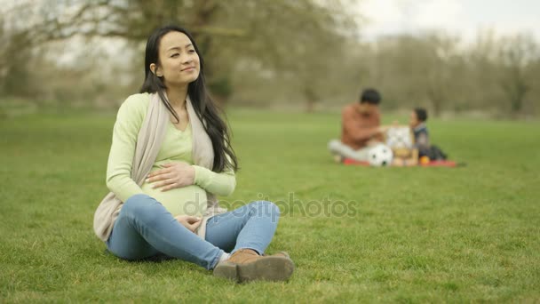 の肖像画妊娠した女性リラックスした背景で父と子と公園で — ストック動画